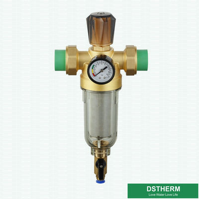 Con il metro di pressione nichelato rimuova il depuratore di acqua della ruggine con il Pre-filtro d'ottone dal sindacato di Ppr