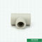 Colore verde fondente degli accessori per tubi di Ppr, approvazione Iso9001 2005 Ppr che riduce T