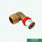 Montaggi d'ottone infilati maschio su misura del sindacato della stampa di compressione del gomito per il tubo di alluminio di Pex Pex