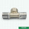 Montaggi d'ottone infilati femminili su misura del sindacato della stampa di compressione del T per il tubo di alluminio di Pex Pex