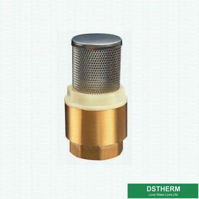 Il tipo più pesante su misura ottone il filtro verticale da acciaio inossidabile della valvola di ritenuta la pompa idraulica