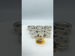 Raccordi PPR Inserti in ottone femmina La Germania progetta tipi più leggeri