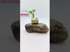 Raccordo Femmina per Tubo PEX in Ottone per Tubo SS