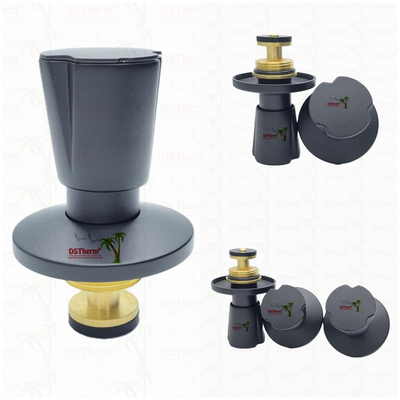 Ppr Valvola di arresto rivestita di nero Valvola di ottone Valvola centrale Elettroforetica Rivestimento nero Dimensione personalizzata