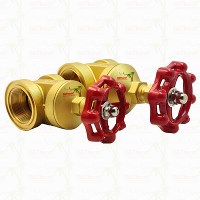 Valvola a saracinesca in ottone con maniglia rossa 2 1/2" Dimensione personalizzata Capacità di sopportazione alta pressione