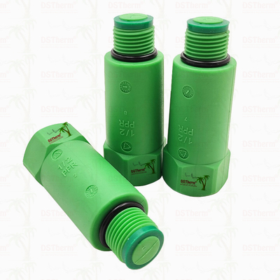 Tappo per tubo PPR Tappo di prova PPR Tappo lungo Colore/Logo personalizzato 1/2" 3/4"