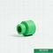 accoppiamento uguale di plastica verde di Ppr dell'accessorio per tubi di 20mm per la Camera con il ODM dell'OEM