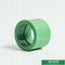 accoppiamento uguale di plastica verde di Ppr dell'accessorio per tubi di 20mm per la Camera con il ODM dell'OEM