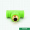 Gli accessori per tubi di plastica verdi standard ISO15874 uguagliano per modellare le pareti interne liscie