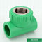 Din8077/8078 accessori per tubi di Ppr, buon impatto infilato femminile verde del T