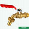 Il rubinetto d'ottone nichelato della valvola della valvola del rubinetto di acqua, rubinetto d'ottone ha personalizzato Logo Designs