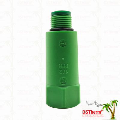 Tappo per tubo PPR Tappo di prova PPR Tappo lungo Colore/Logo personalizzato 1/2